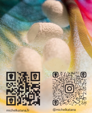 Шелковый (Бахмаль) Клатч-конверт-папка-косметичка SALTARE VITAE! (Танец жизни) Plic_SALTARE VITAE!